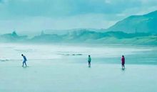 赞美亲情的句子大全用