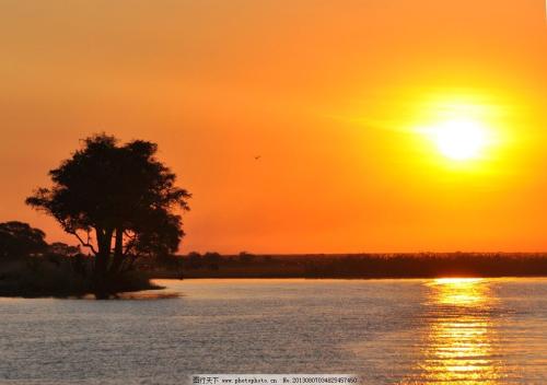 青春关于亲情的句子 2