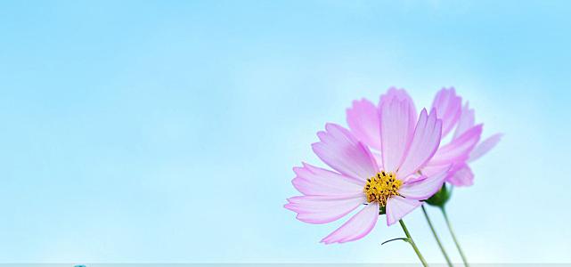 青春关于亲情的句子 1