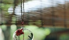 若岁月静好，那就颐养身心