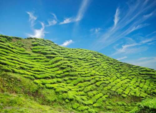 集团最佳销售团队口号展示