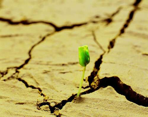 20.渴望自由和幸福的每个人都应具有顽强的精神。当您遇到困难时，它将给您强大的力量。