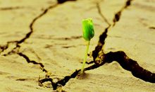 关于不屈不挠的励志句子