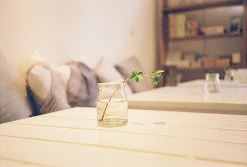 20.经常有人在你身边停下来。有些人停下来告诉你关于生活的真相。有些人停下来分享一些可以珍惜的秘密。由于这些走走停停的游客，生活变得更加丰富多彩。当他们再次起床时，请微笑着告别。每一个过你一生的人都应该感谢！