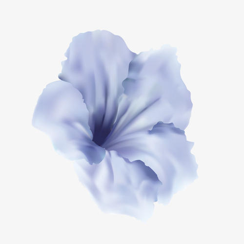 10.家庭感情，这是最普遍的事情之一，也是最独特的事情之一。家庭感情是如此重要。让我们珍惜亲情！