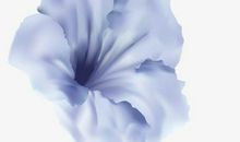 歌颂赞美亲情的句子