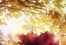 男朋友希望我开心的句子 2