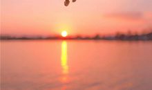 春雨心烦意乱的句子