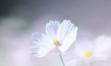 有关亲情浓厚的句子