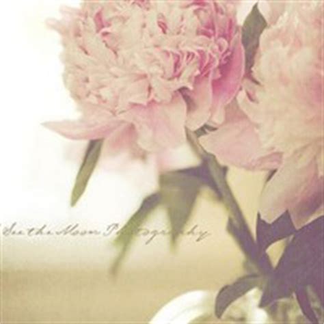 有关亲情浓厚的句子 1