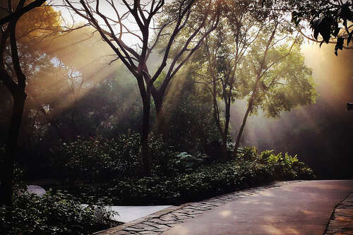 新年励志英语句子