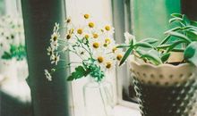 最近流行广告语大全