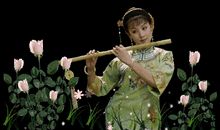 空山鸟语经典语录