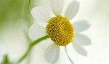 让自己释怀的句子亲情