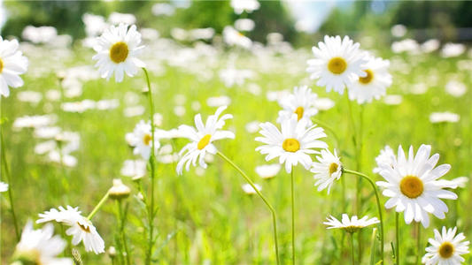 让自己释怀的句子亲情 1