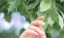 珍惜亲情的句子英文