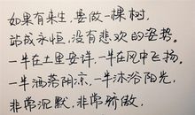 qq人生格言个性签名大全