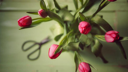 11.成长需要家庭的关爱,但有些人认为成长不需要家庭的关怀。由于他们是在家庭关爱的背景下长大的,所以他们一点也不知道。和我一样,我渴望家人的感情,就像渴望在沙漠中喝水的人们一样。