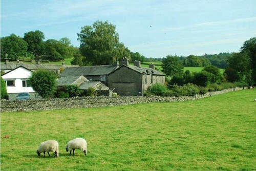 适合发朋友圈的句子关于亲情 1