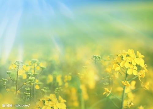 和死党开心的句子说说心情 2