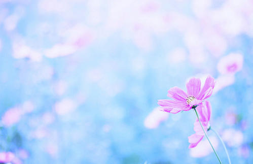 富有亲情哲理的句子 2