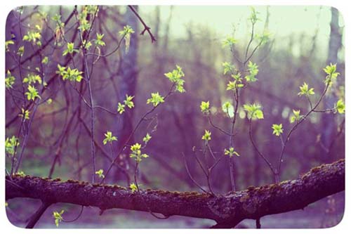 青春亲情的句子说说心情 1