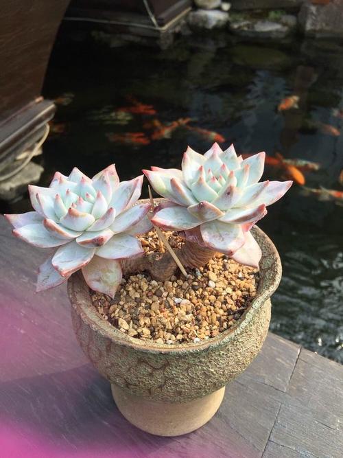 青春亲情的句子说说心情 2