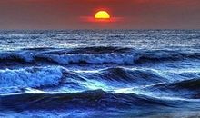 珍惜粮食的名言警句