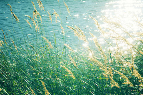 和死党开心的句子说说心情 1