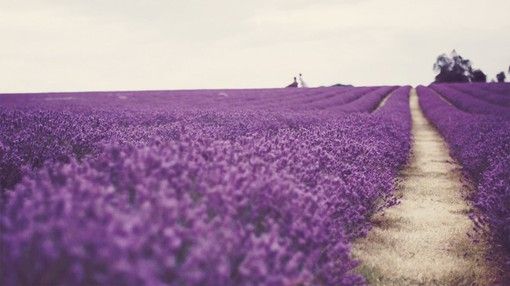 唯美人生哲理句子关于亲情 2