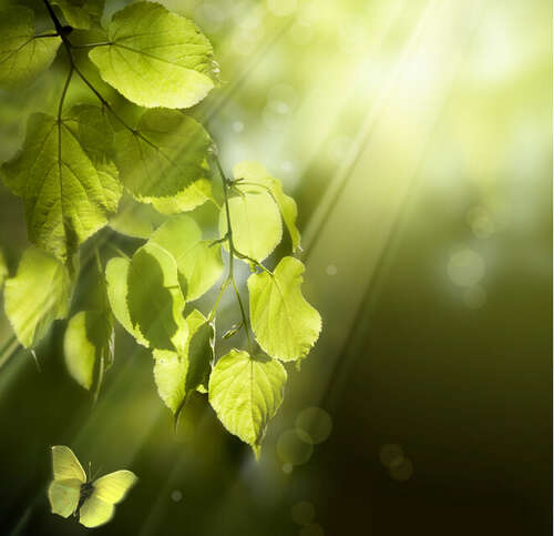 换季的审美句子