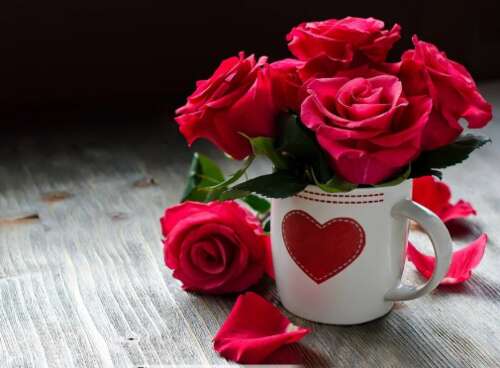 生日祝福的女朋友1