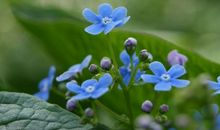 突现自己很开心的句子 表达今天很开心的说说句子