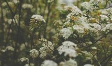 关于亲情的简单英语句子