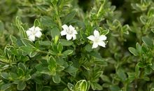 亲情简单暖心的句子