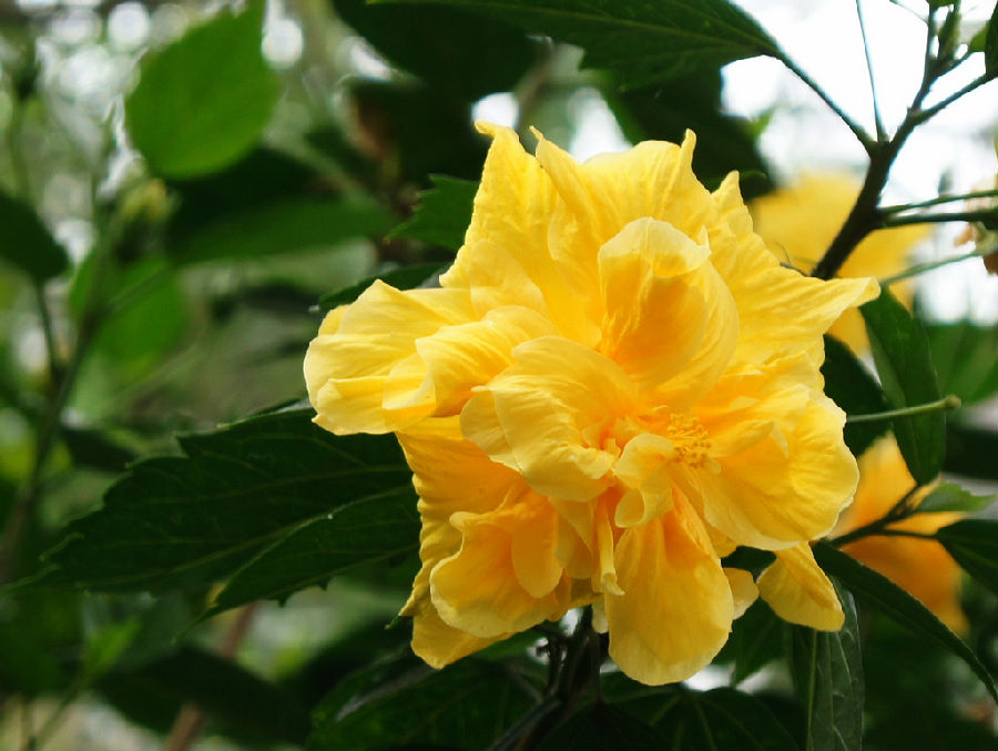 20.上帝赐给了每个人生命，一颗心，好好照顾生活，安定心，生命就是完整的。挫败感会过去和过去，眼泪会流下来，并且会被抛弃。没有什么可以阻止你的。人类成长的秘诀是不断自我淘汰，找到完美的方法。命运就像手中的掌纹一样，无论多少曲折，最终都掌握在您自己的手中。