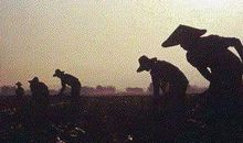 勤奋劳动的座右铭