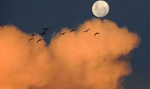 关于命运的座右铭