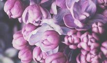 对生活充满热情的句子