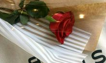 对夫妻关系失望的句子