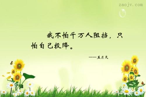 描述受惊的人的句子