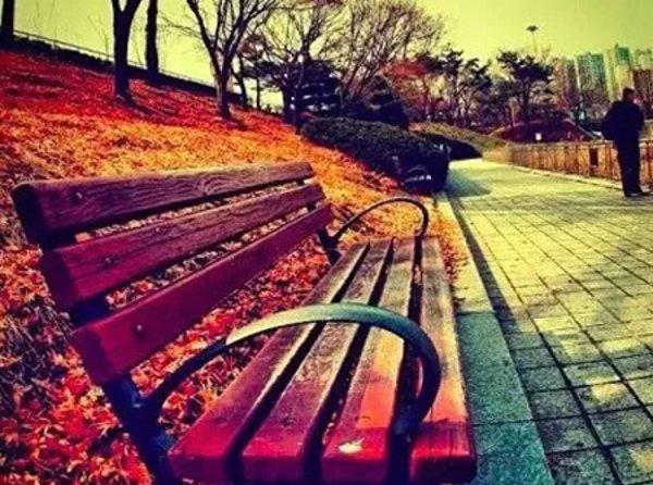 美丽的励志句子谈心情