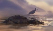 亲情和利益之的句子