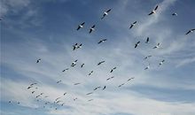 对生活充满希望的句子