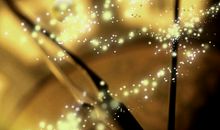 关于时光流逝的句子