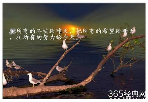 描述生活态度的句子