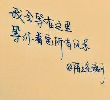 悲伤的爱情微博行情