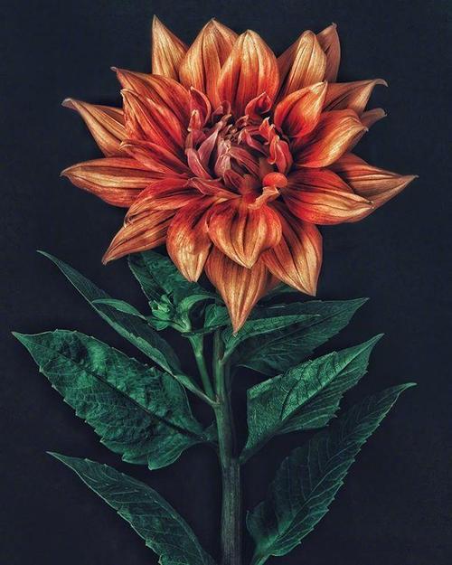 关于理解的句子