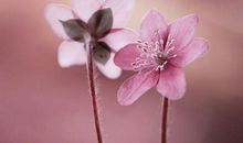 形容心态平和的句子