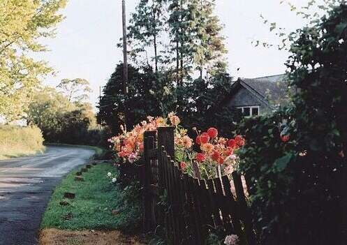 被背叛的心痛的句子说说心情